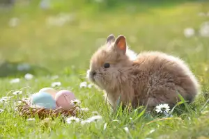 Adult Easter Egg Hunt